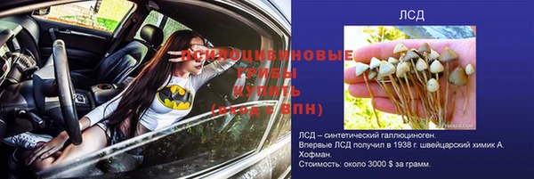 дурь Слюдянка