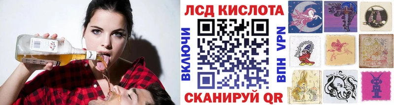 Наркотические марки 1500мкг  это формула  Новоржев  блэк спрут рабочий сайт 