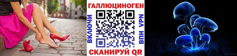цены   Новоржев  Псилоцибиновые грибы прущие грибы 