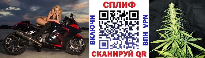 Шишки марихуана Bruce Banner  цена   Новоржев 